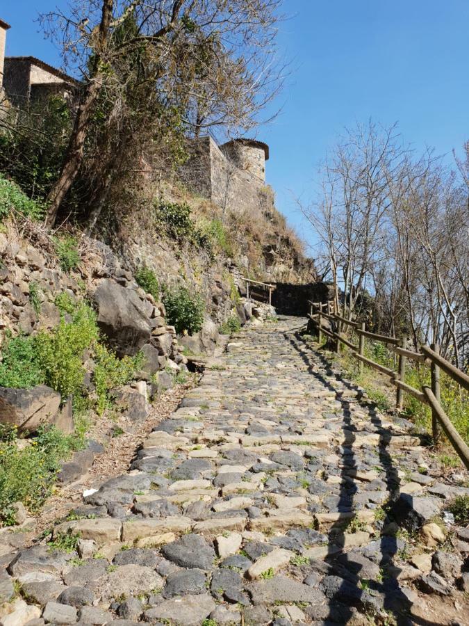 Ca La Rita Διαμέρισμα Castellfollit de la Roca Εξωτερικό φωτογραφία